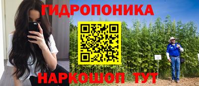 спиды Кимры