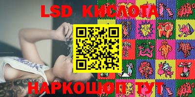 спиды Кимры