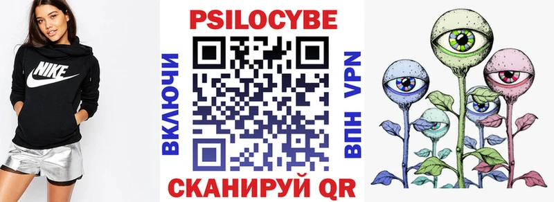 продажа наркотиков  Кудрово  Псилоцибиновые грибы MAGIC MUSHROOMS 