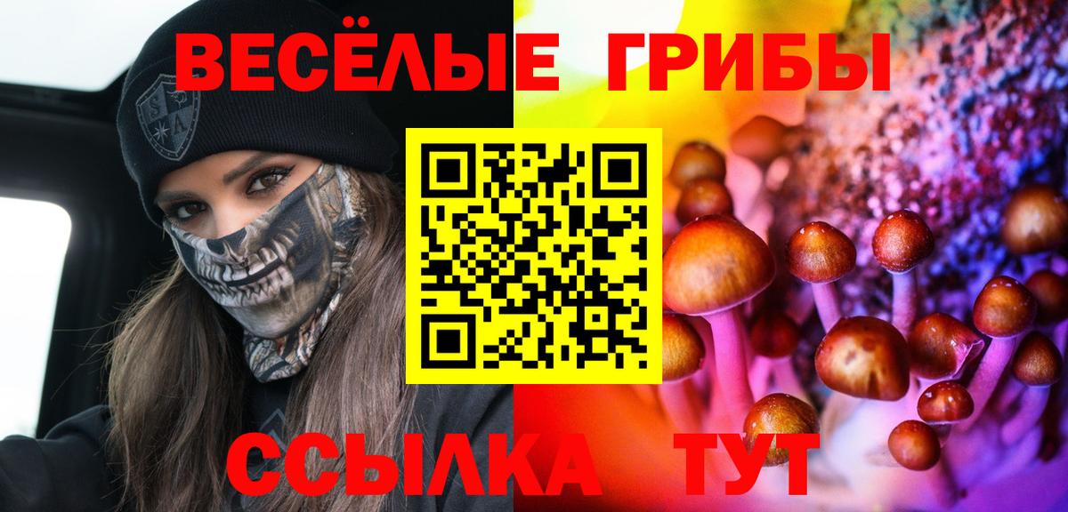 Кудрово  Галлюциногенные грибы ЛСД  Галлюциногенные грибы Magic Shrooms  Вход с VPN 